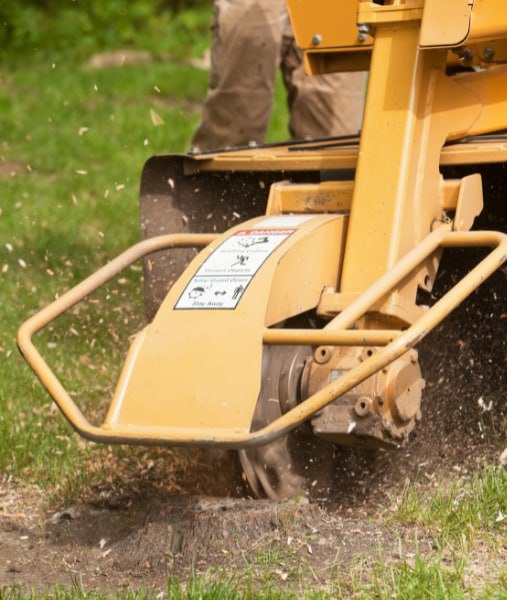 This is a photo of stump grinding being carried out in Dover. All works are being undertaken by Dover Tree Surgery